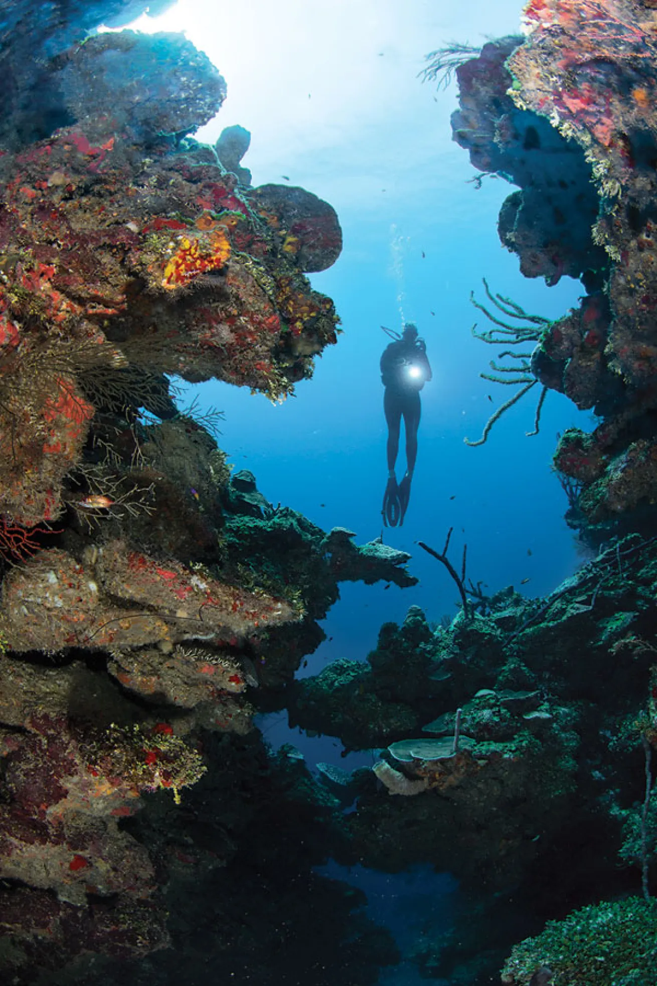 Dive Site: Calvin's Crack