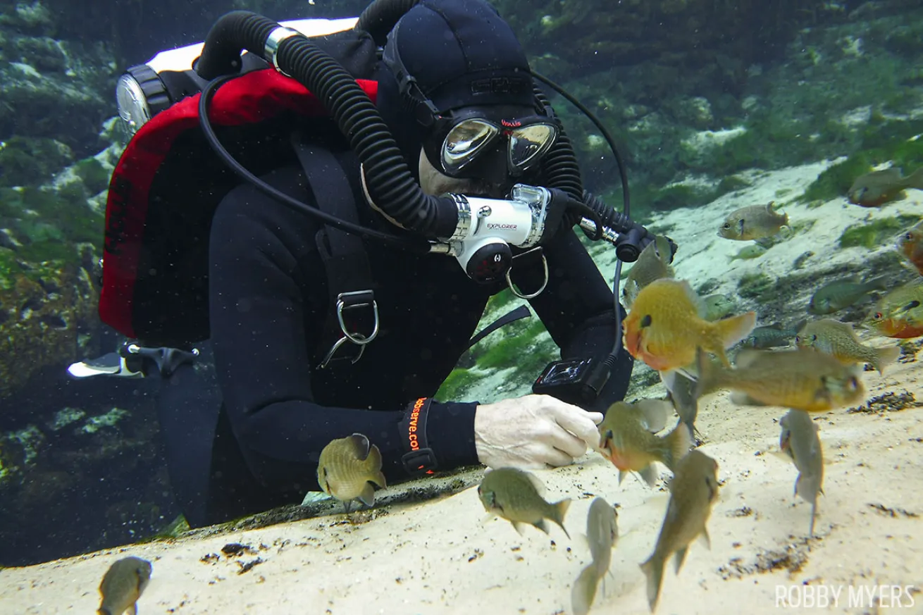 Bluegill freshwater scuba diving Florida SeaLife Cameras