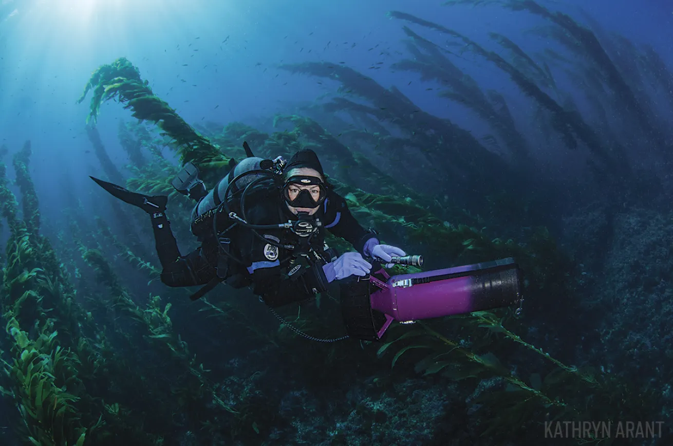 scooter diving california