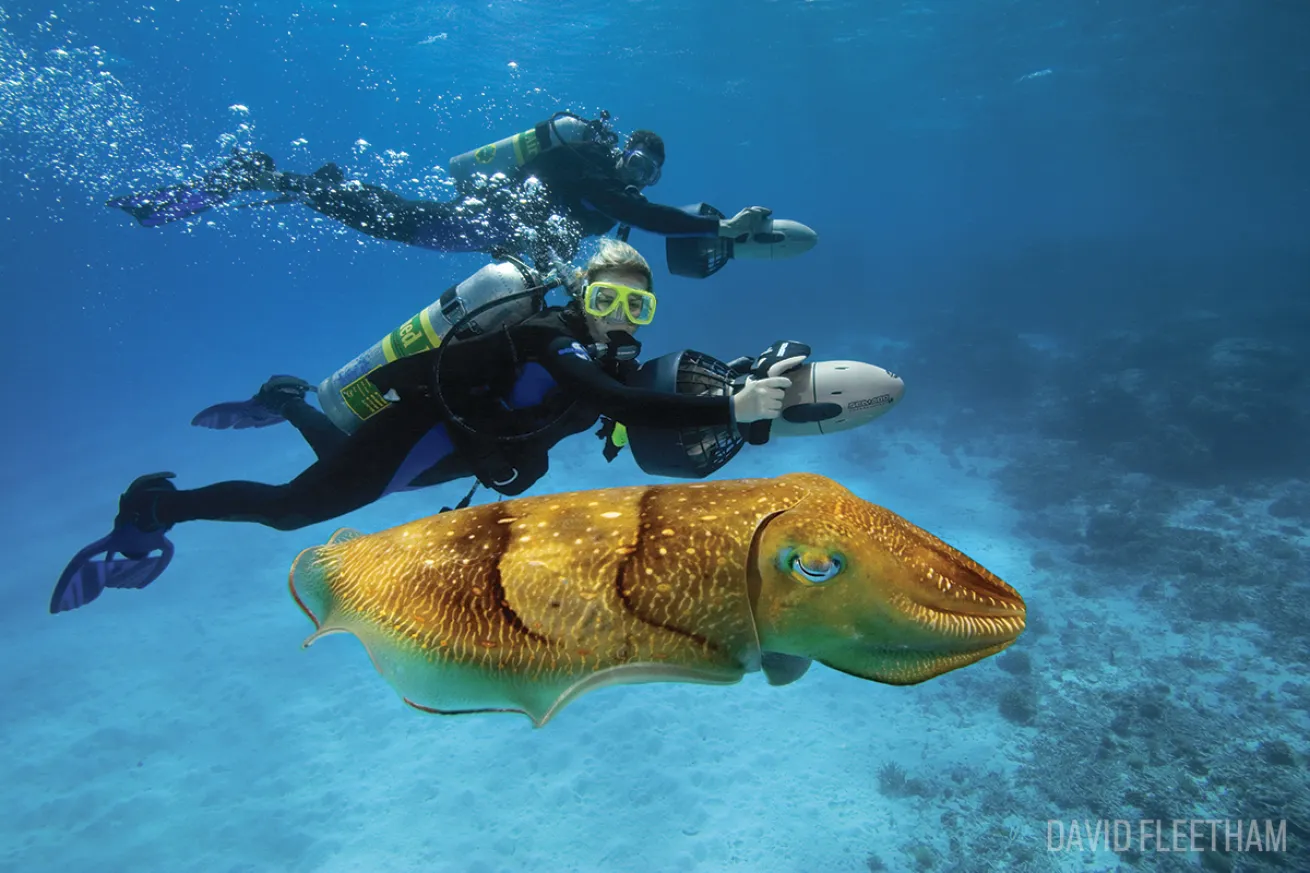 scuba diving hawaii scooter dpv