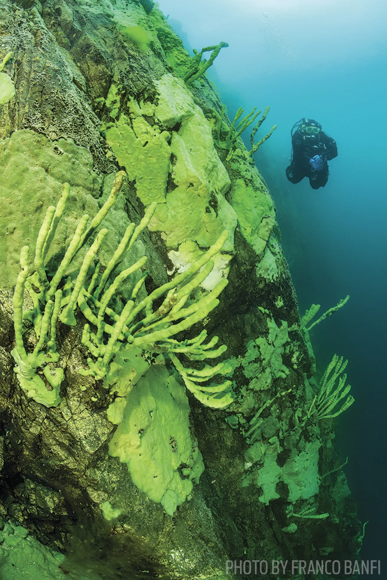 scuba diving lake baikal