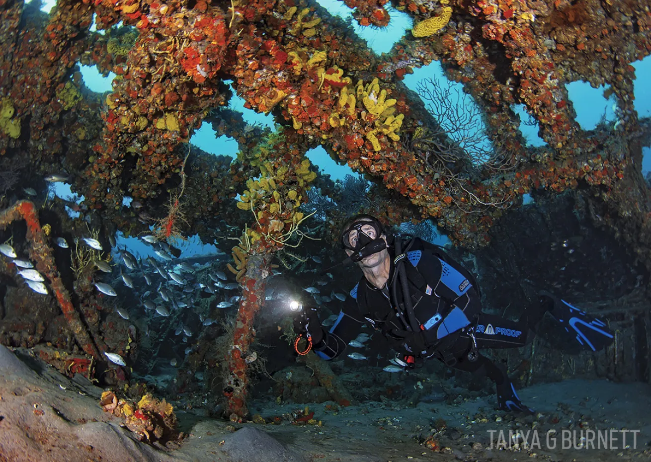 Scuba diver exploring the Mizpah shipwreck in Palm Beach, Florida