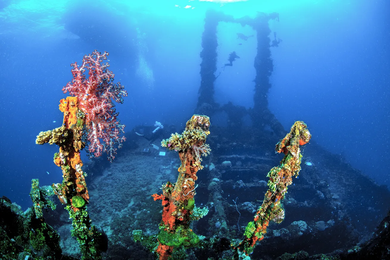 The coral-encrusted wreck of the *Fujikawa Maru* in Chuuk Lagoon.