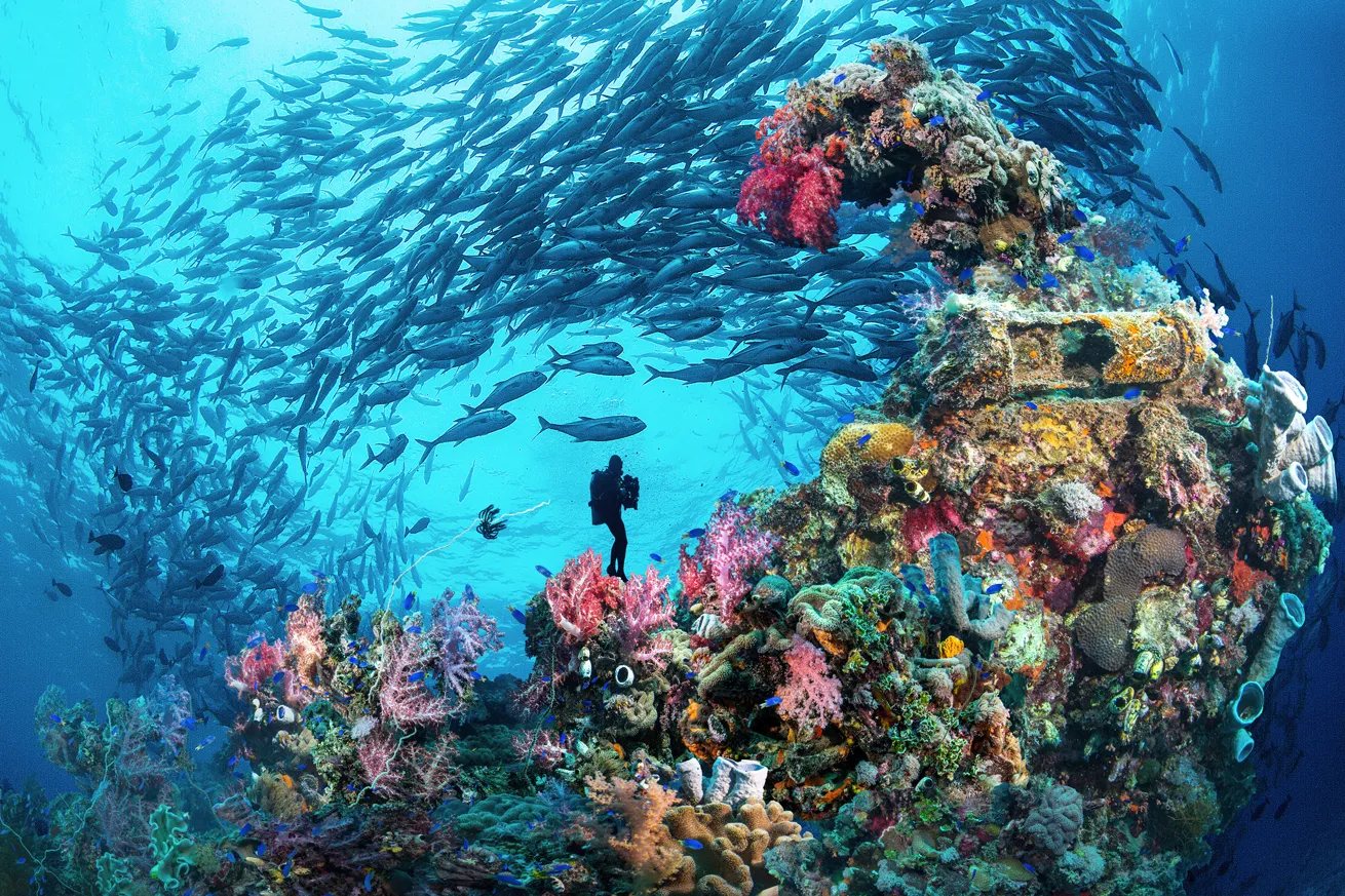 A diver is engulfed in a swirl of trevally wreck diving in Chuuk Lagoon.
