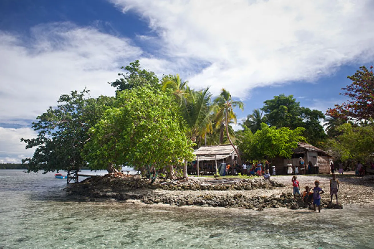 Island Village