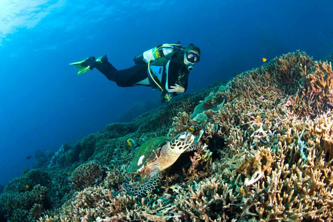 scuba diving Thailand