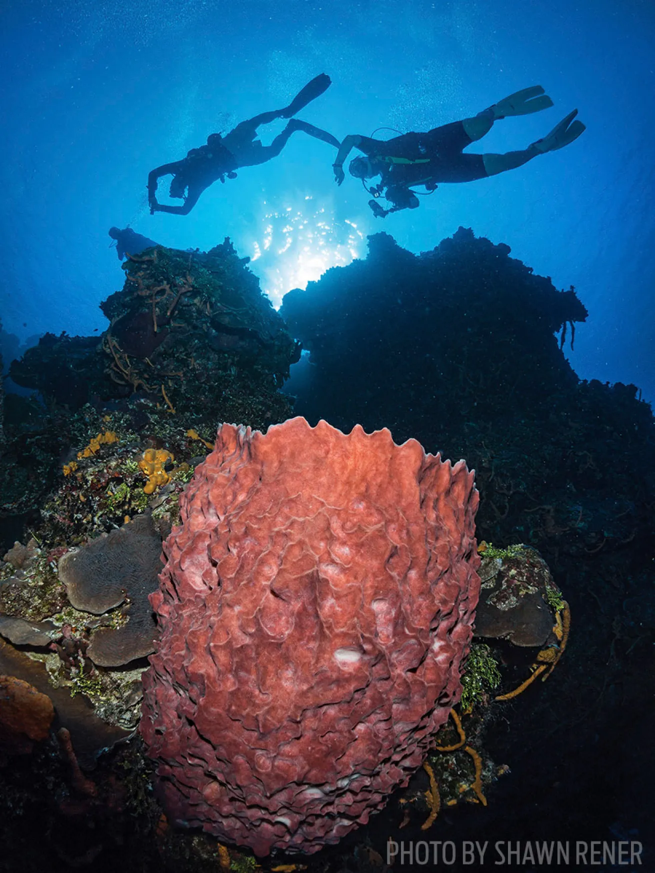 romantic scuba diving resorts 