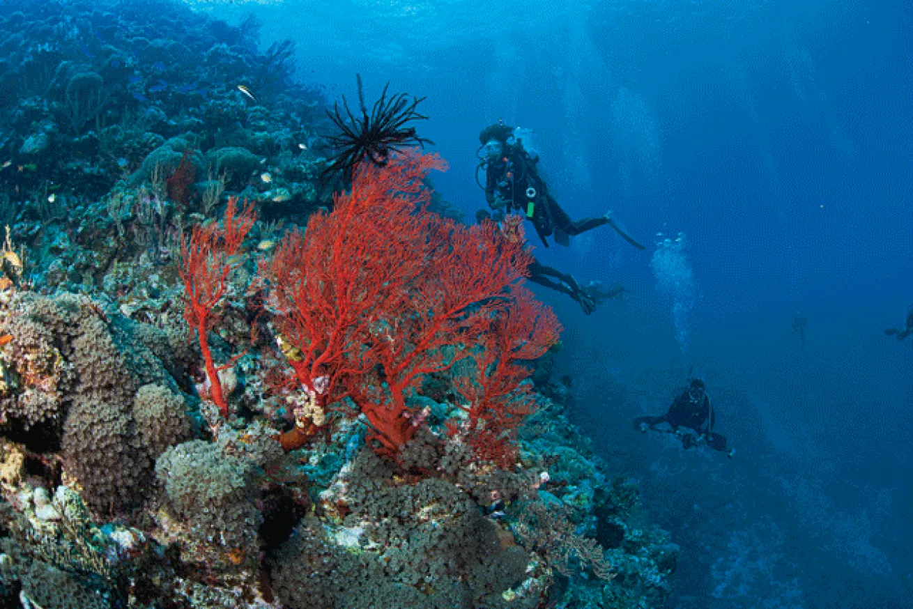 The brilliant red of the Rising Sun is reflected in a reefscape in Japan's Okinawa prefecture