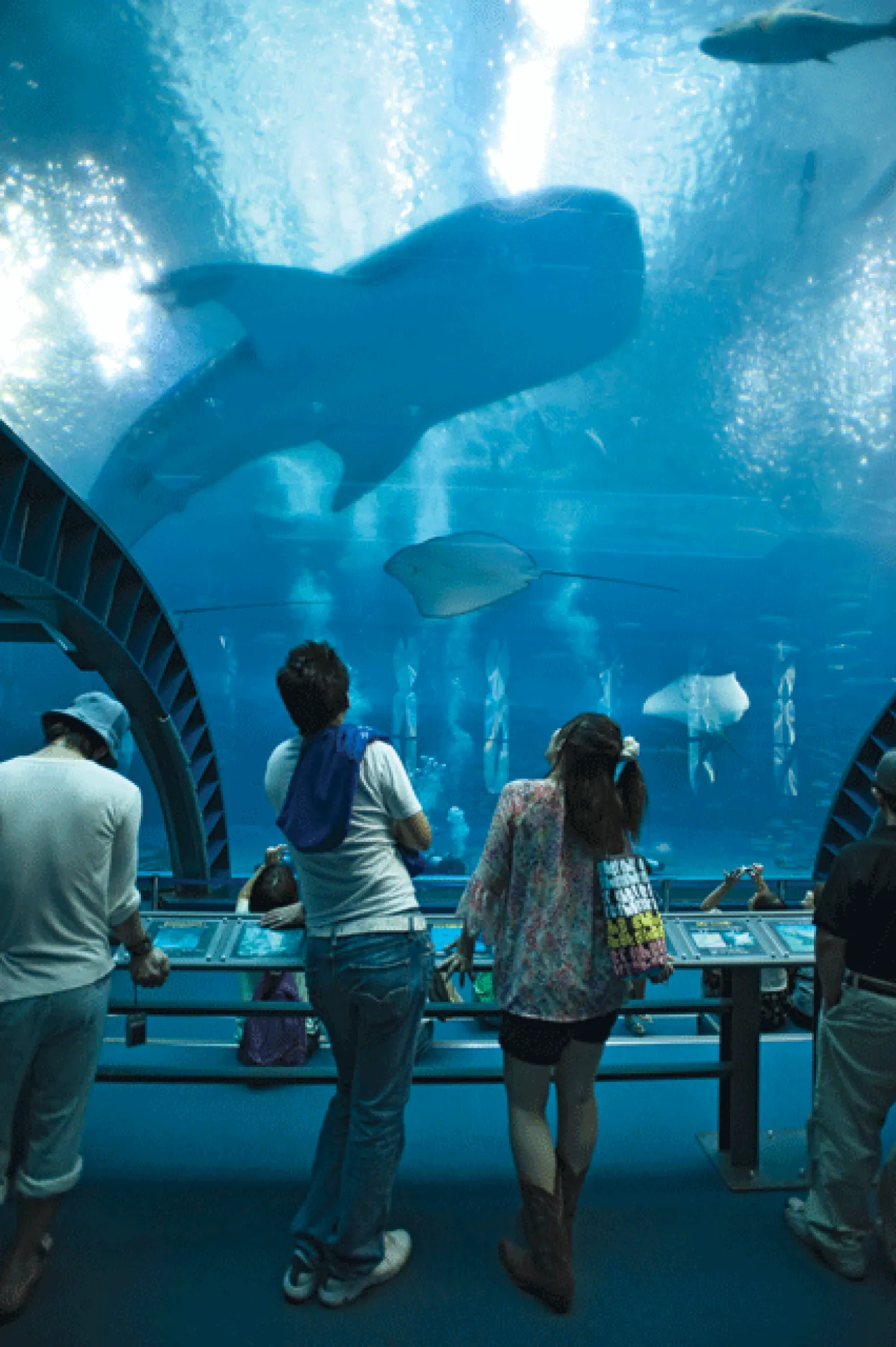 Okiwana's Churaumi Aquarium is the world's fourth largest