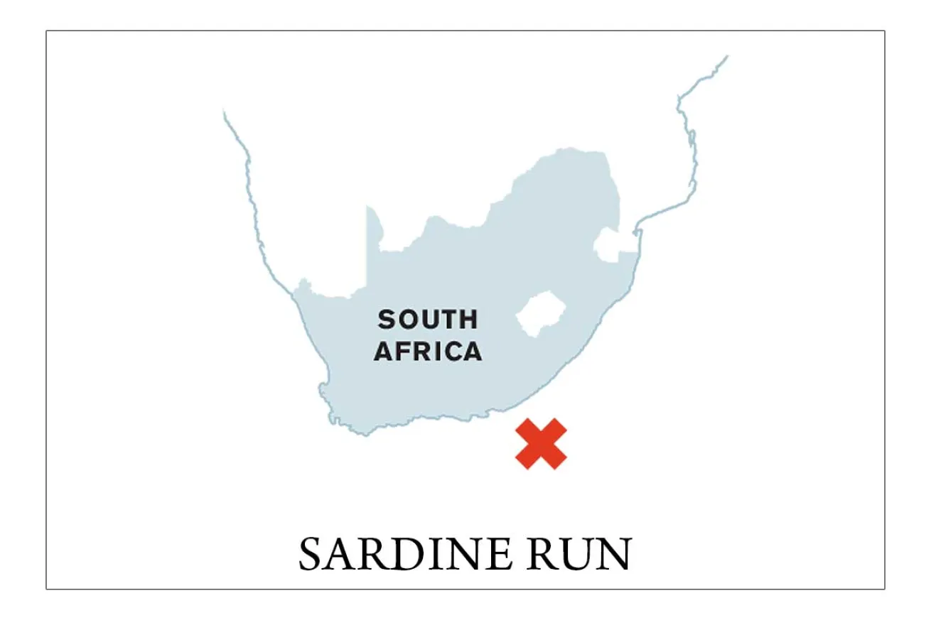 dive map south africa
