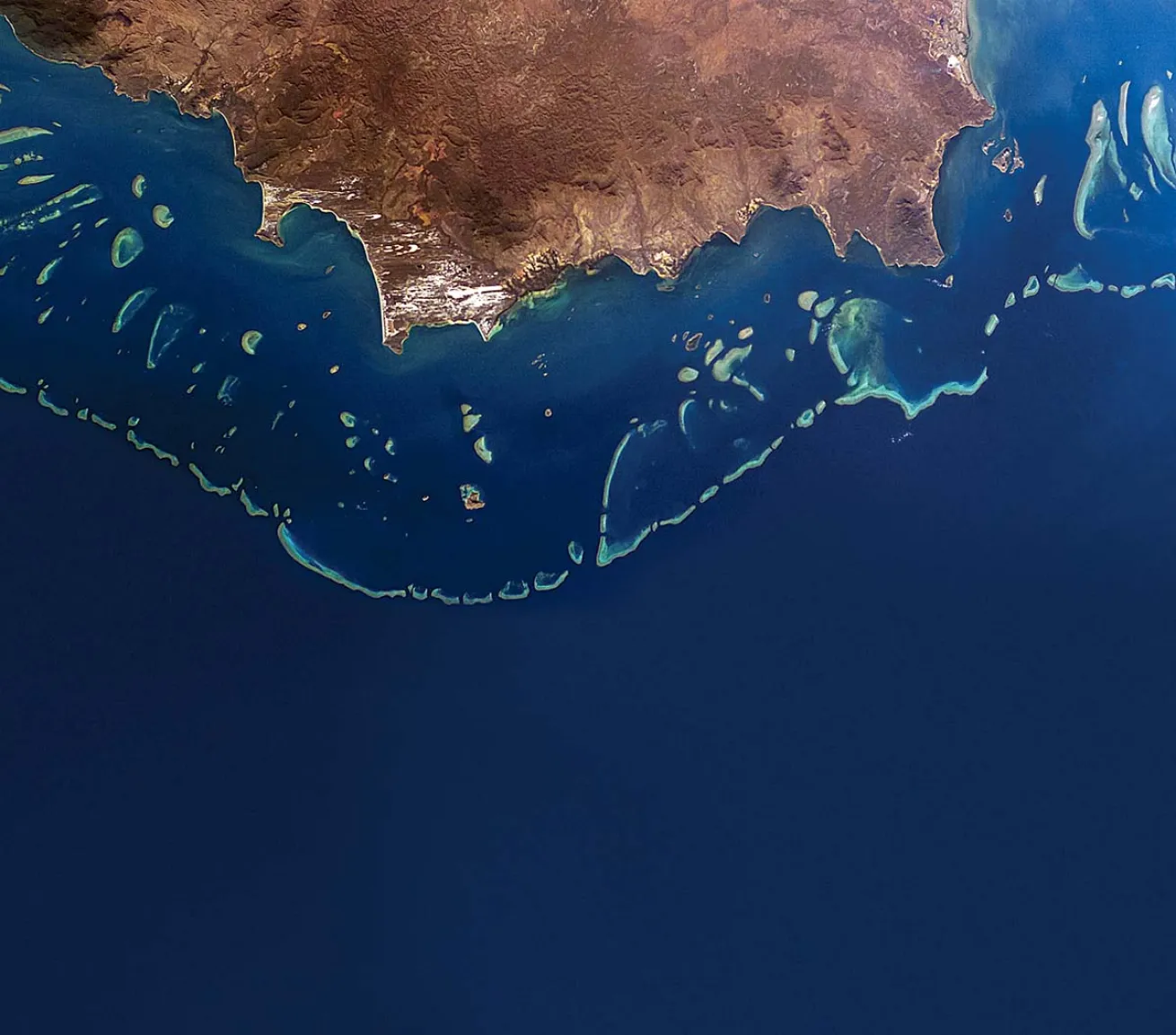 NASA coral project great barrier reef Australia scuba diving 