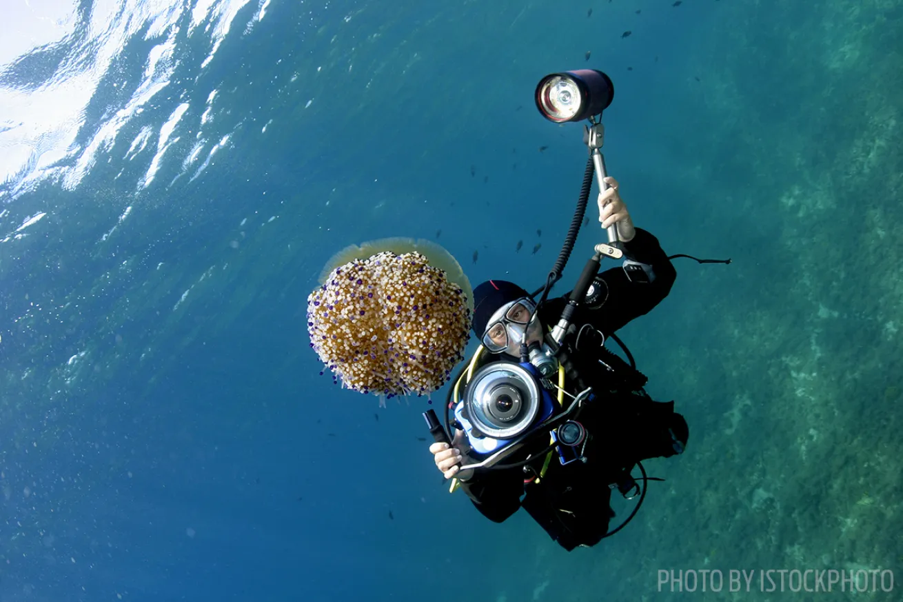 divers alert network photography safety
