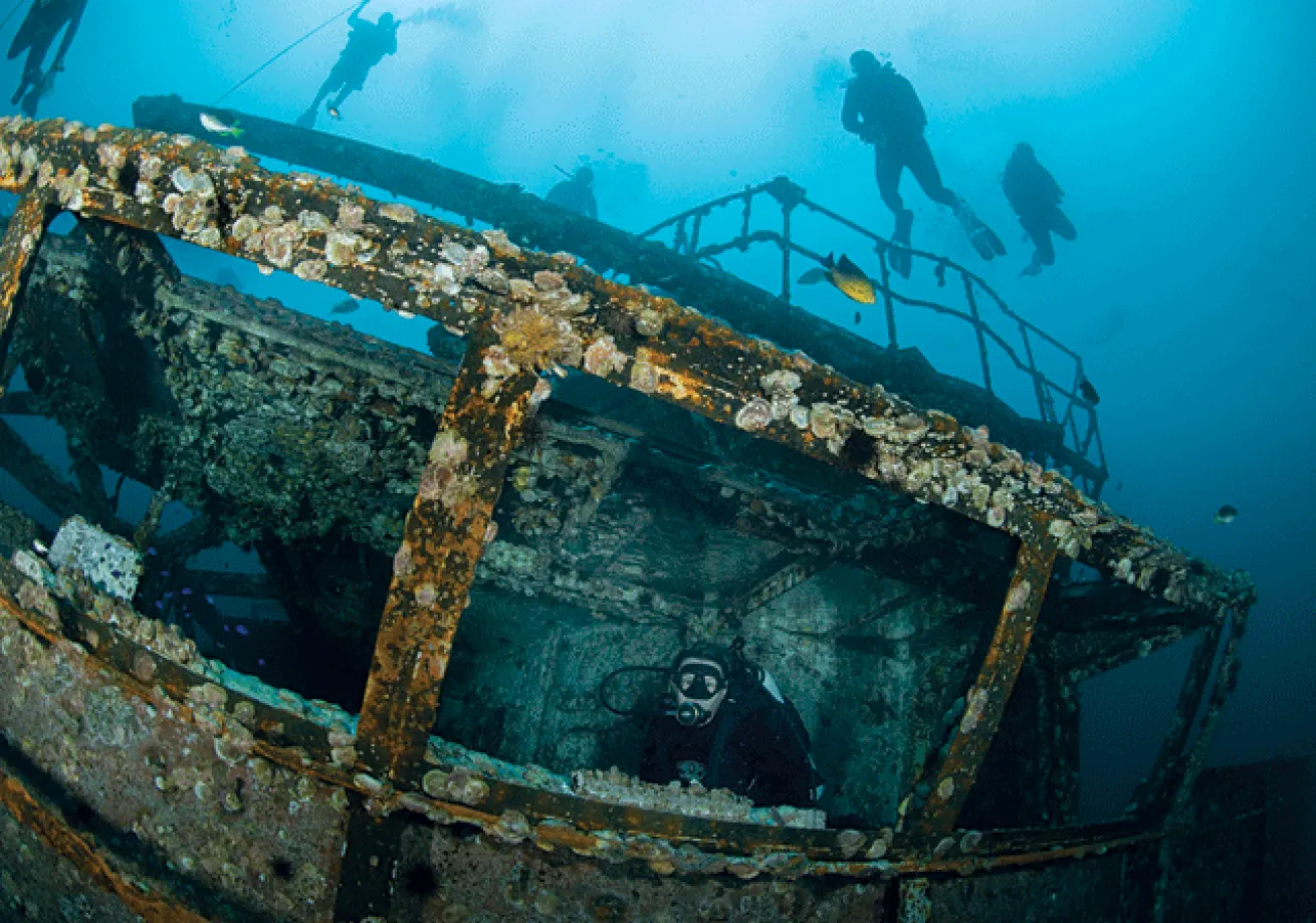 diving the Florida Panhandle
