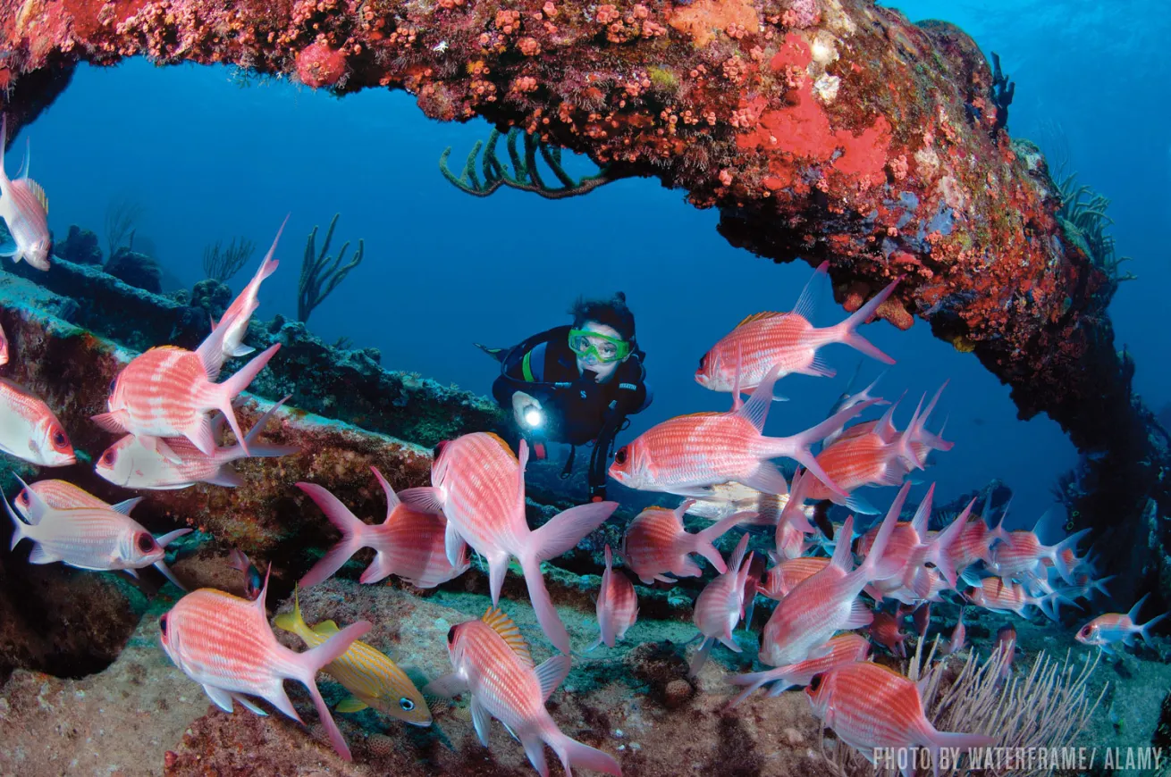 british virgin islands 