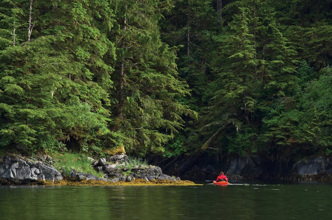 scuba diving british columbia