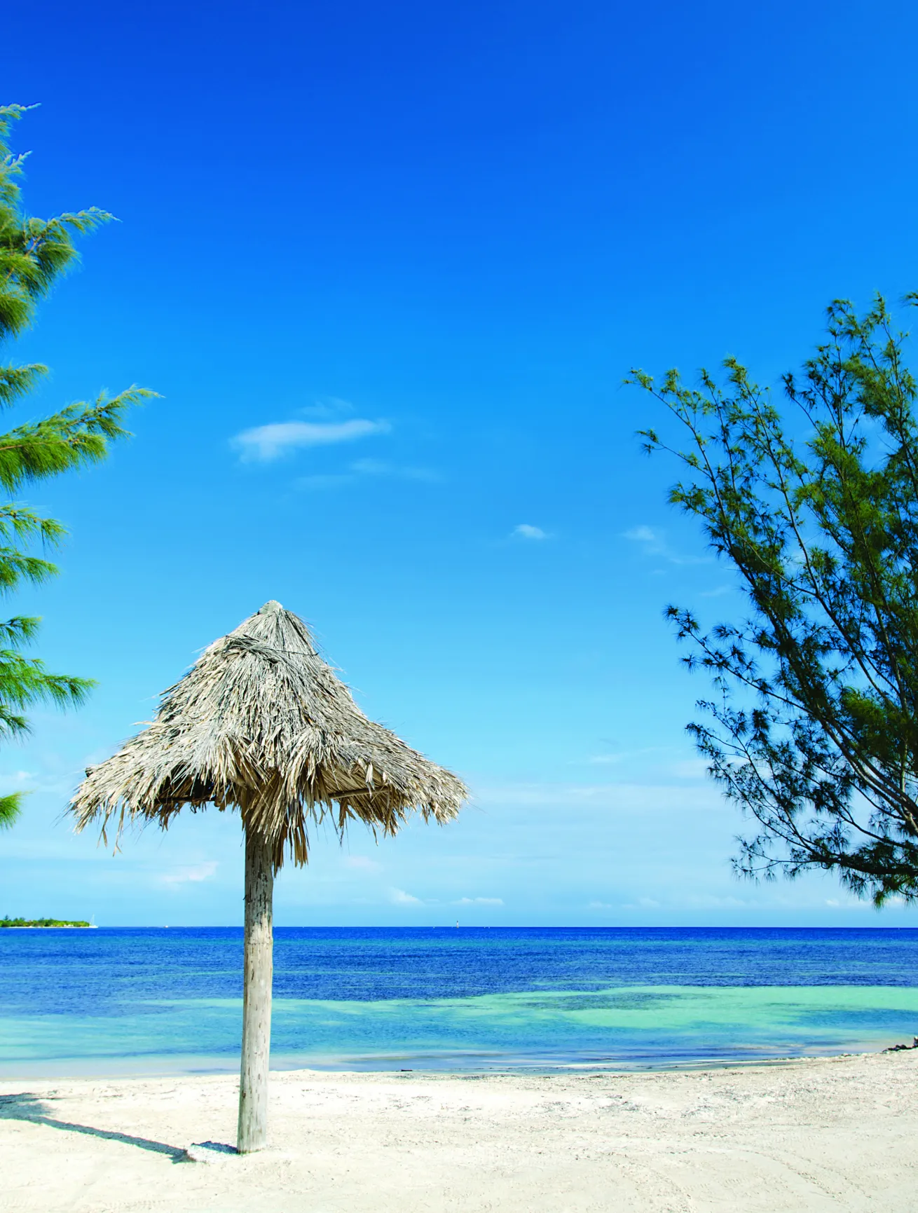 Best beaches for diving