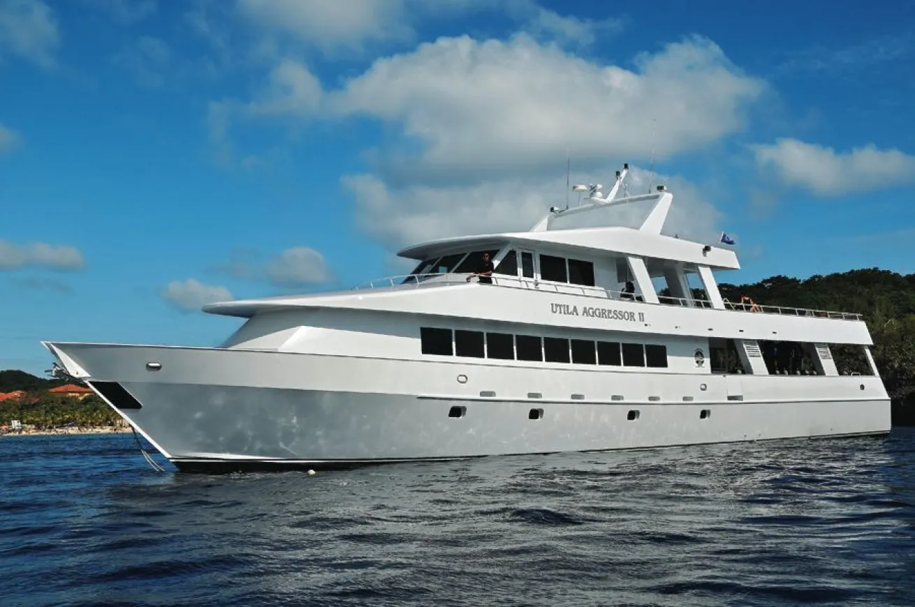 utila aggressor II
