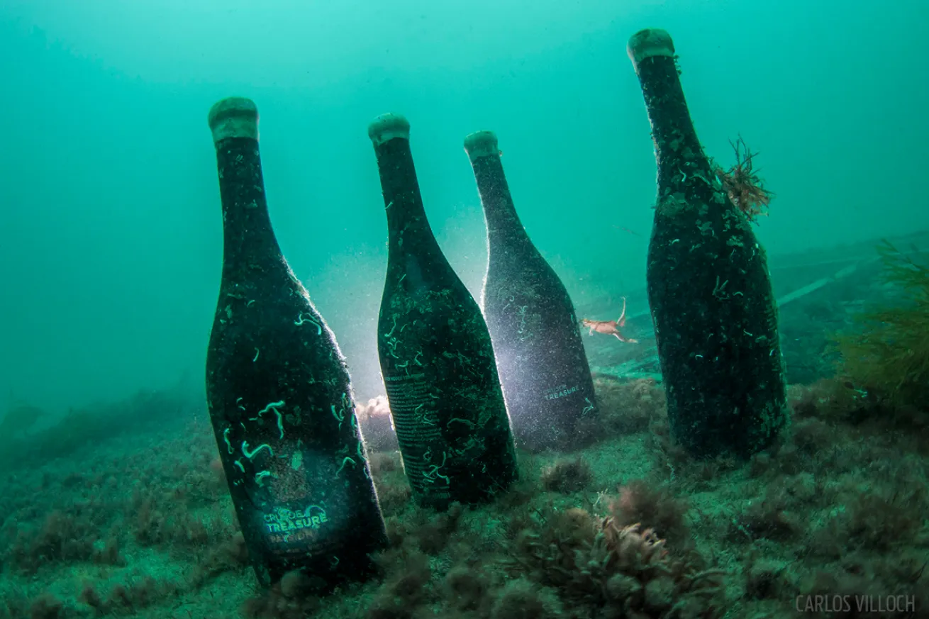 Underwater Winery