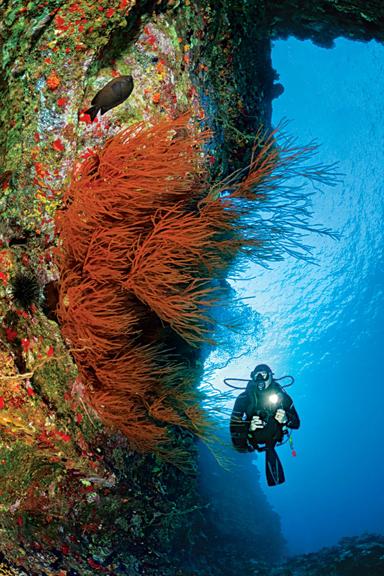 scuba diving hawaii volcanoes