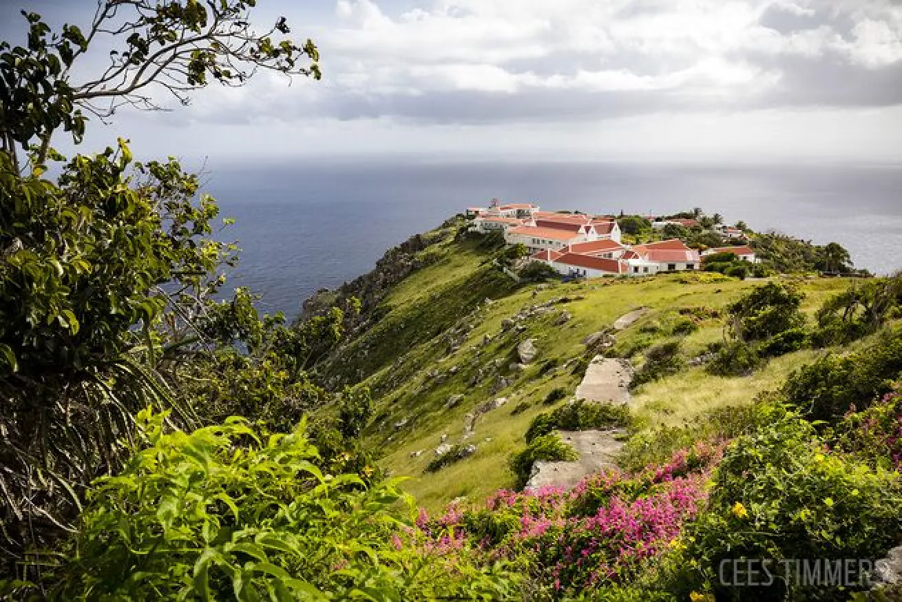 saba