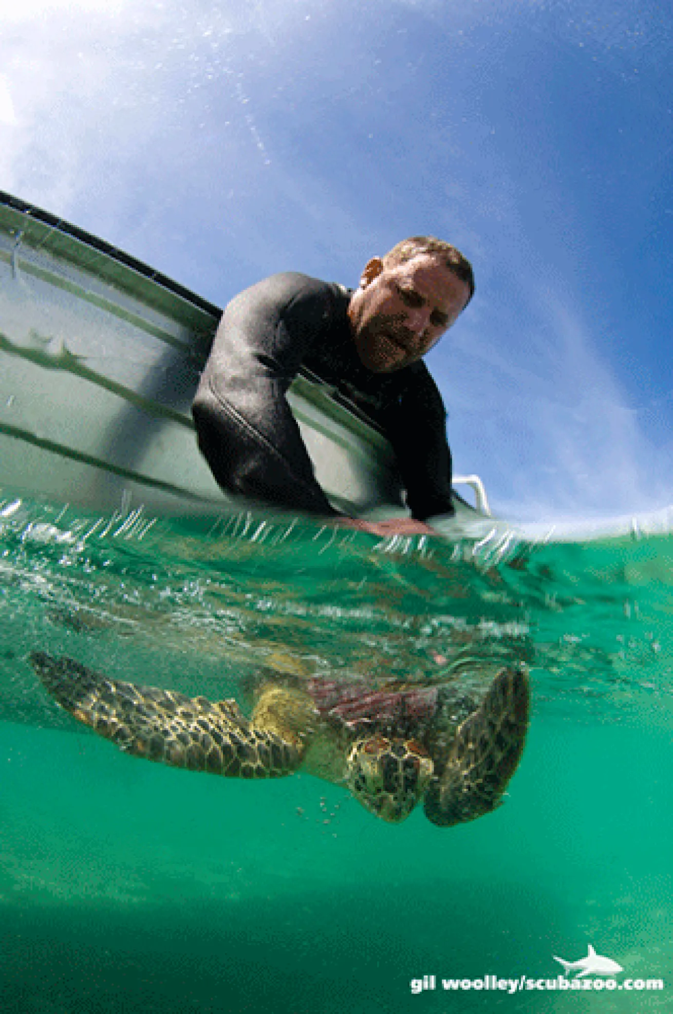 split shot over under underwater photography