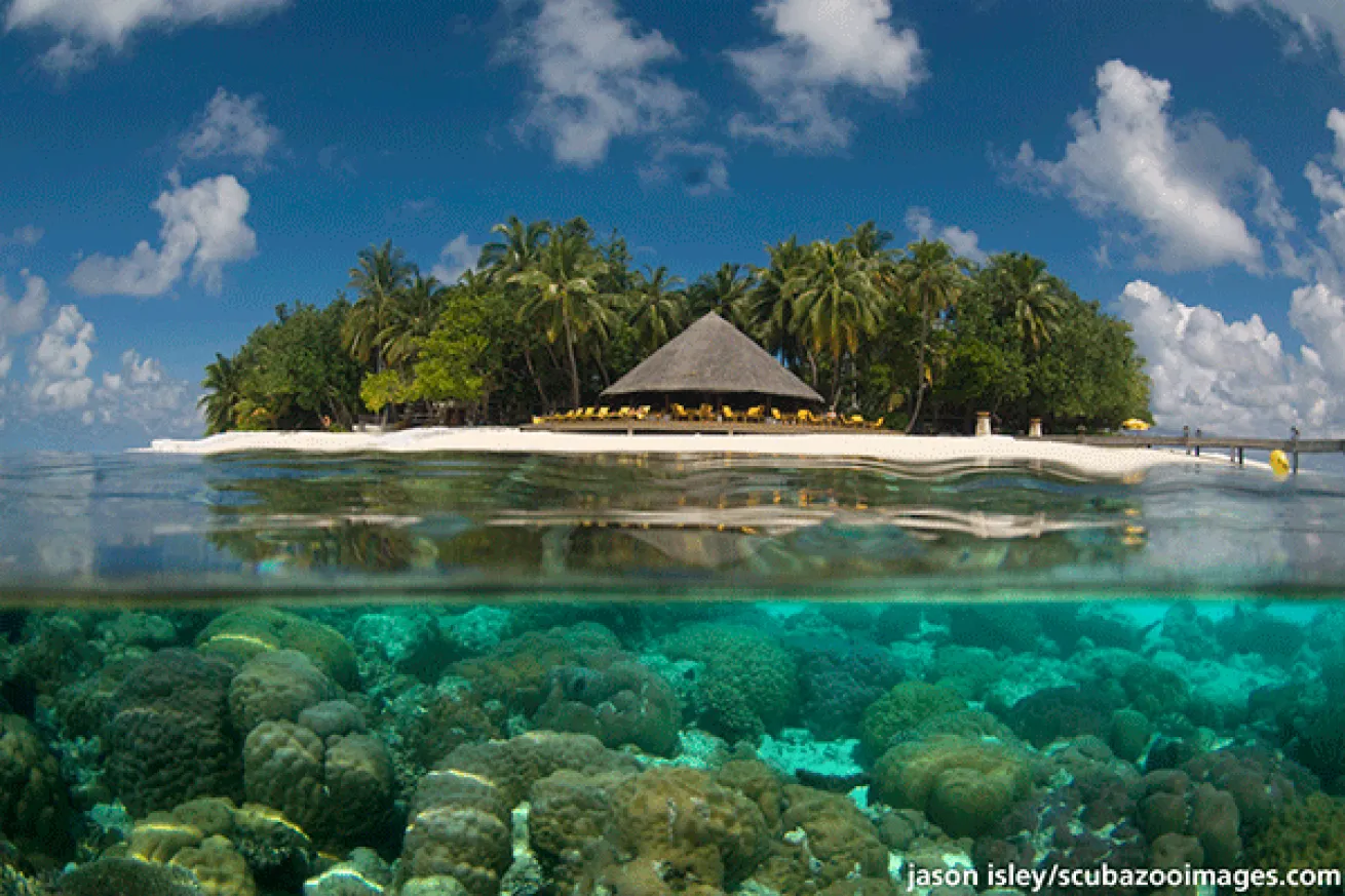 split shot over under underwater photography