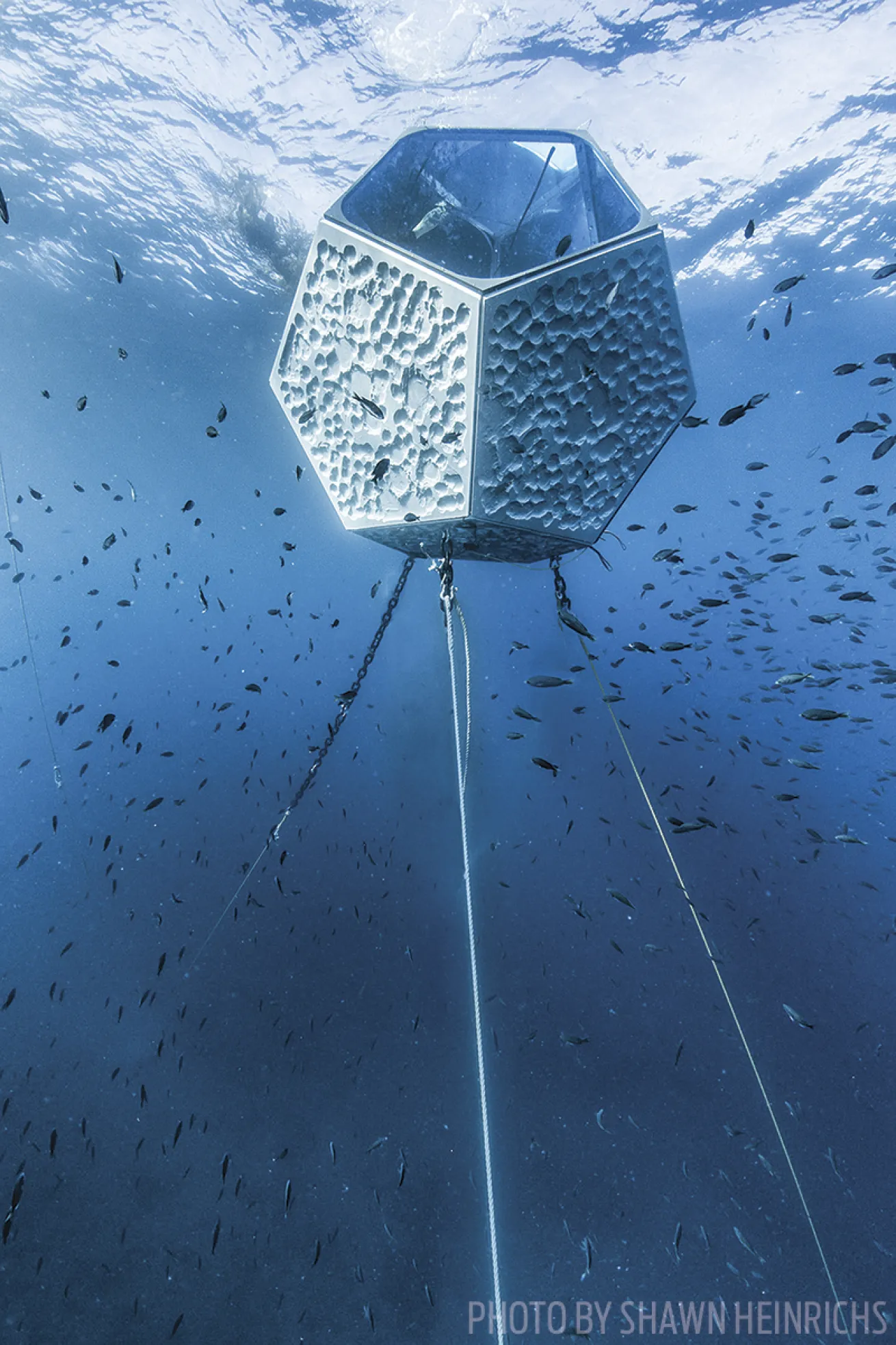 underwater pavilions scuba diving art exhibit