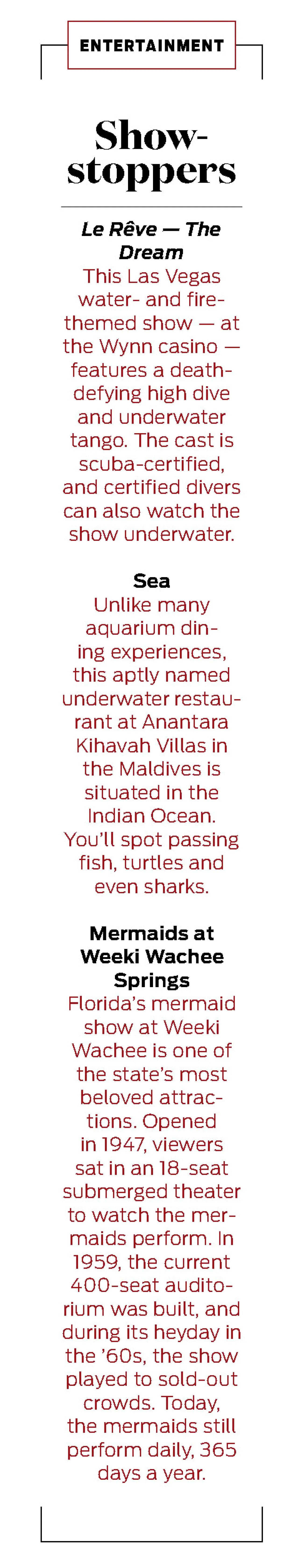 underwater entertainment shows