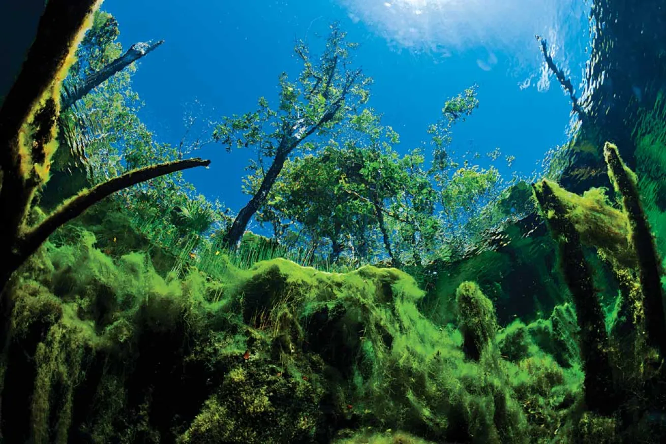 scuba diving cenotes mexico car wash