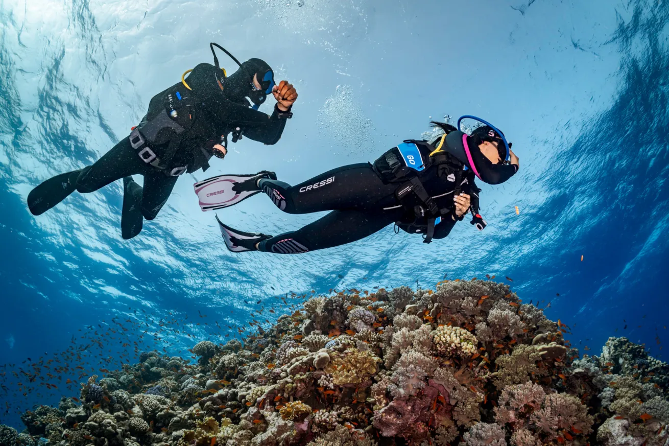 divers gliding over coral reef