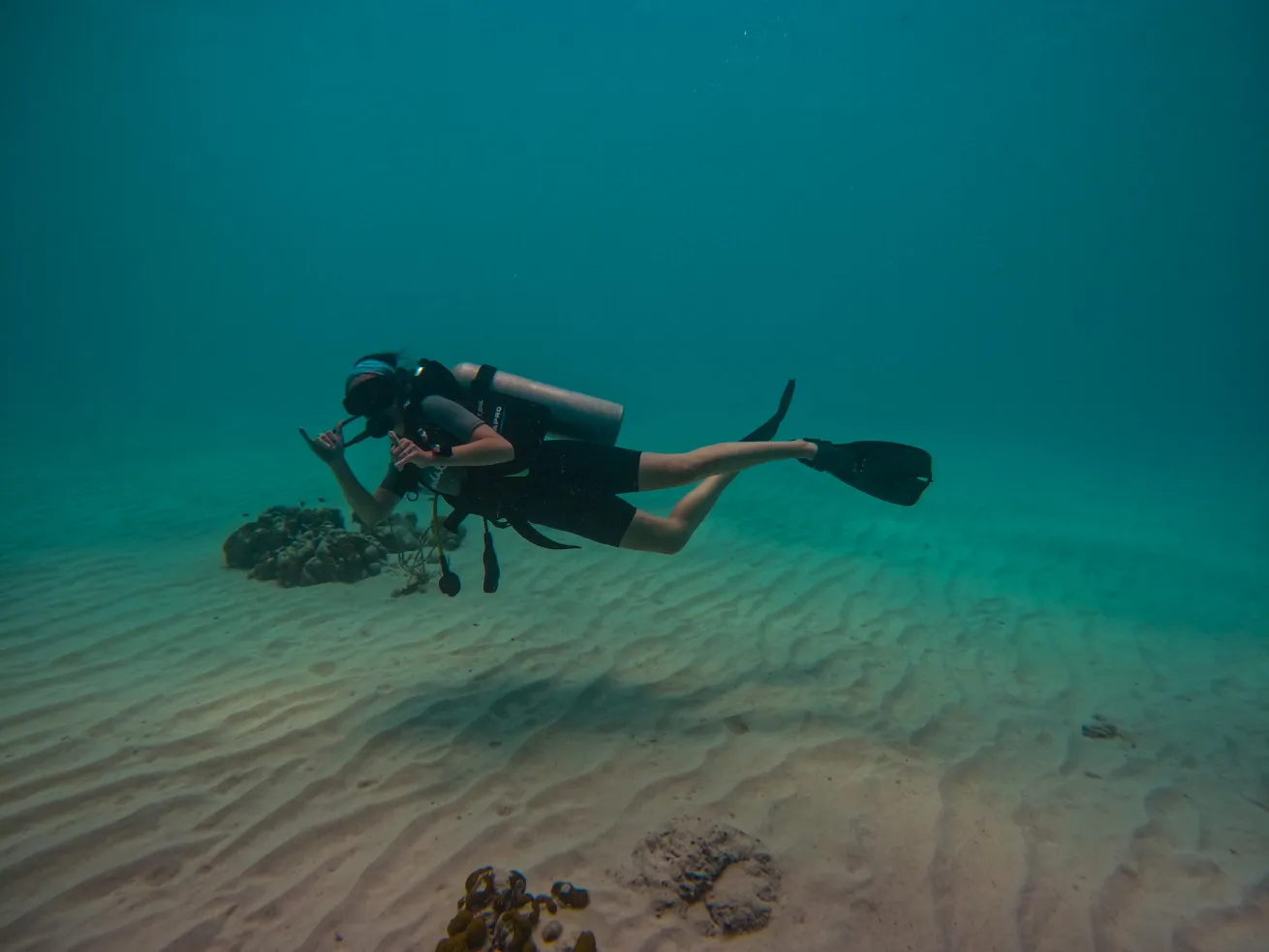 The author, Zanny Merullo Steffgen, reclaims scuba diving after divorcing the dive buddy who got her started in the sport.