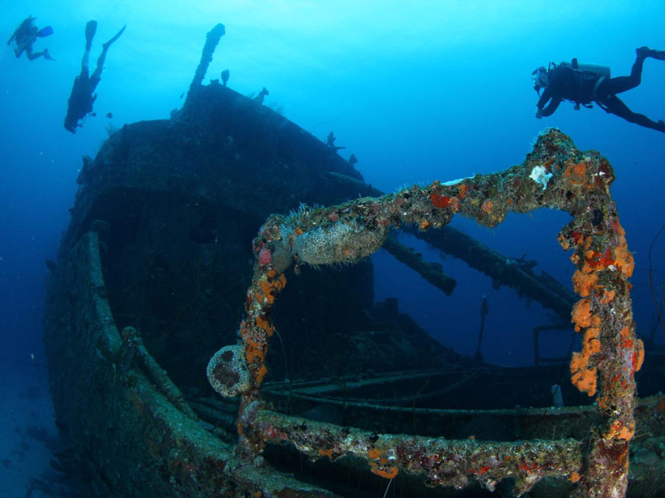Curacao Shipwreck