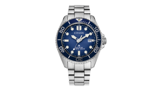 Citizen_Promaster_Dive_BN-L.jpg