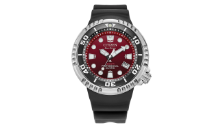 Citizen_Promaster_Dive_E_BN-Z.jpg