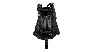 Nex Leatherback wing system.jpg
