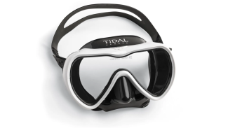 single lens tidal mask.jpg