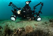 _Hermit Crabbing rig with frogfish.jpg.webp