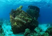 -Curacao-_.jpg.webp