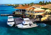 _Buddy Dive Boats.jpg.webp