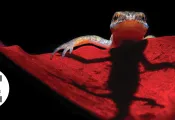 _PhotoContestBanner__web.jpg.webp