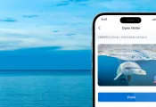 Q-eCard-mobile-x-dolphin.jpg.webp