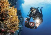 BELOW_SURFACE_TOBIAS_FRIEDRICH___HI-Enhanced-NR_____edit.jpg.webp