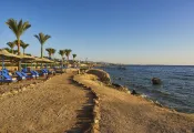Beach-.jpg.webp