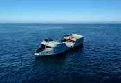 Black Pearl A.jpg.webp