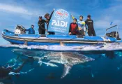 Florian Allgaeuer_PADI_SouthAfrica_FA_DSC   .jpg.webp