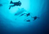 KPaterakis--_.jpg.webp