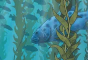 KelpSpore.jpg.webp