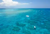 Key Largo.jpg.webp