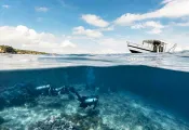 Low-Res_A-split-shot-of-scuba-divers-departing-on-a-dive-in-Nusa-Penida C-Indonesia.jpg.webp