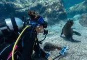 Paterakis_LaPaz_FourthElement_LosIslotes_DiveGurus--small.jpg.webp